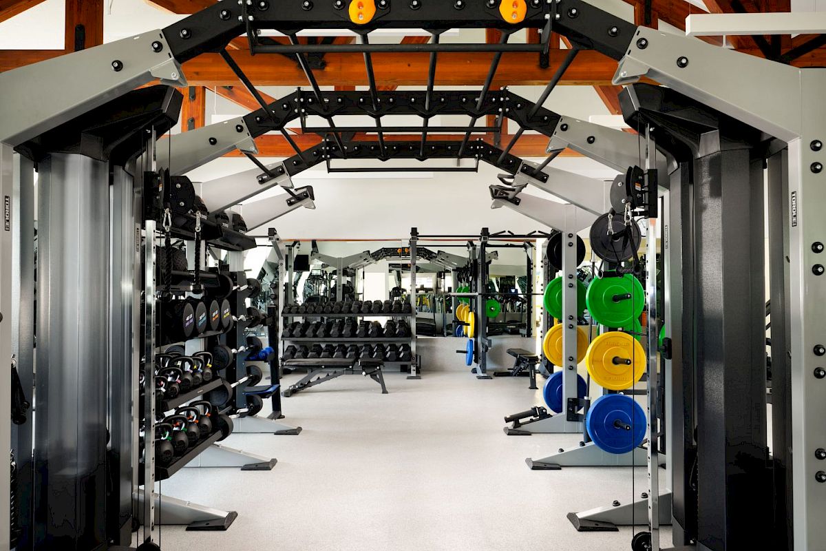 The image shows a well-equipped gym with various exercise machines, weights, and colorful weight plates set up in an open layout.