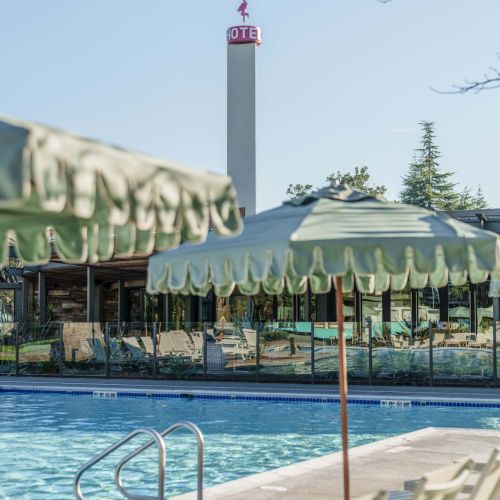 A resort pool with crystal-blue water, lounge chairs, and a long green canopy, backdrop of a tall tower and palm trees, sunny sky.