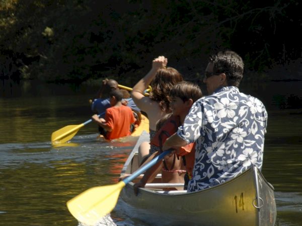 A group of people paddling canoes on a calm water body under the sunlight, enjoying an outdoor activity among nature.