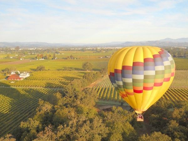 A brightly colored hot air balloon floats over a scenic landscape with vineyards, fields, and trees, under a clear sky with few clouds.
