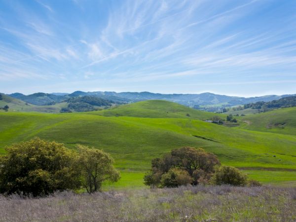 A serene landscape featuring rolling green hills with scattered trees under a clear blue sky with wispy clouds, capturing a peaceful countryside scene.