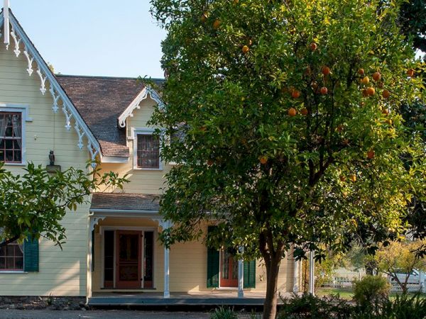 A two-story yellow house with green shutters and a front porch, surrounded by trees and a garden, featuring citrus fruits.