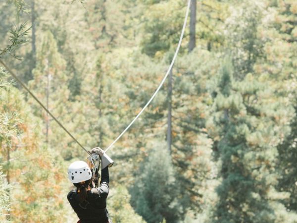 A person wearing a helmet and black outfit is zip-lining through a forested area with tall trees in the background.