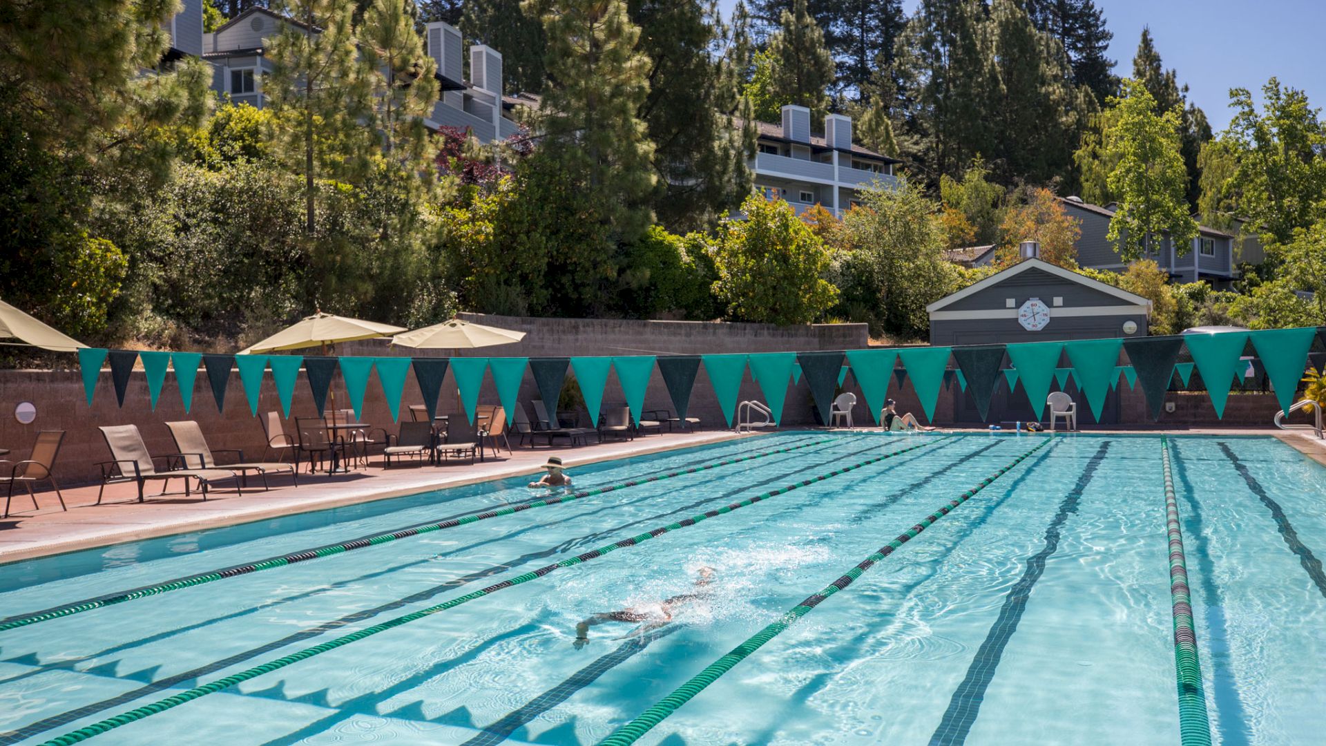 The image shows an outdoor swimming pool with multiple lanes, swimmers in the water, lounge chairs, umbrellas, and trees in the background.