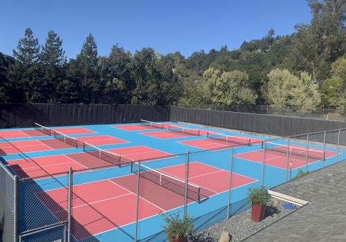 The image shows multiple colorful pickleball courts surrounded by a fence, set against a backdrop of trees and clear blue sky.