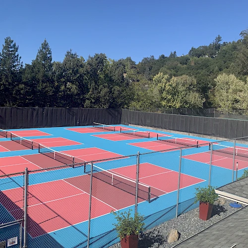 The image shows multiple colorful pickleball courts surrounded by a fence, set against a backdrop of trees and clear blue sky.