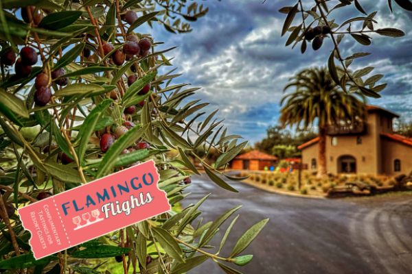 An olive tree in the foreground, a building in the background, and a "Flamingo Flights" sign.
