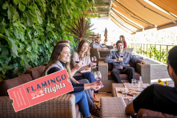 People are enjoying drinks on a patio with lush greenery and covered seating. An illustrated ticket reads "Flamingo Flights."