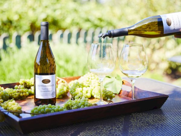 A tray with wine bottles, glasses, and grapes is set outdoors, with wine being poured into a glass.