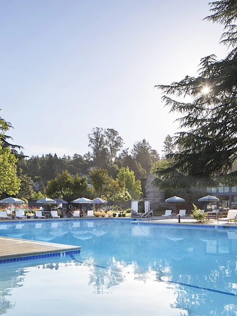A large outdoor swimming pool surrounded by lounge chairs and trees under a clear sky.
