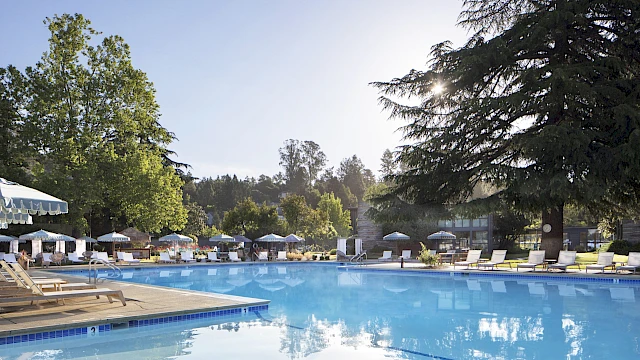 A large outdoor swimming pool surrounded by lounge chairs and trees under a clear sky.