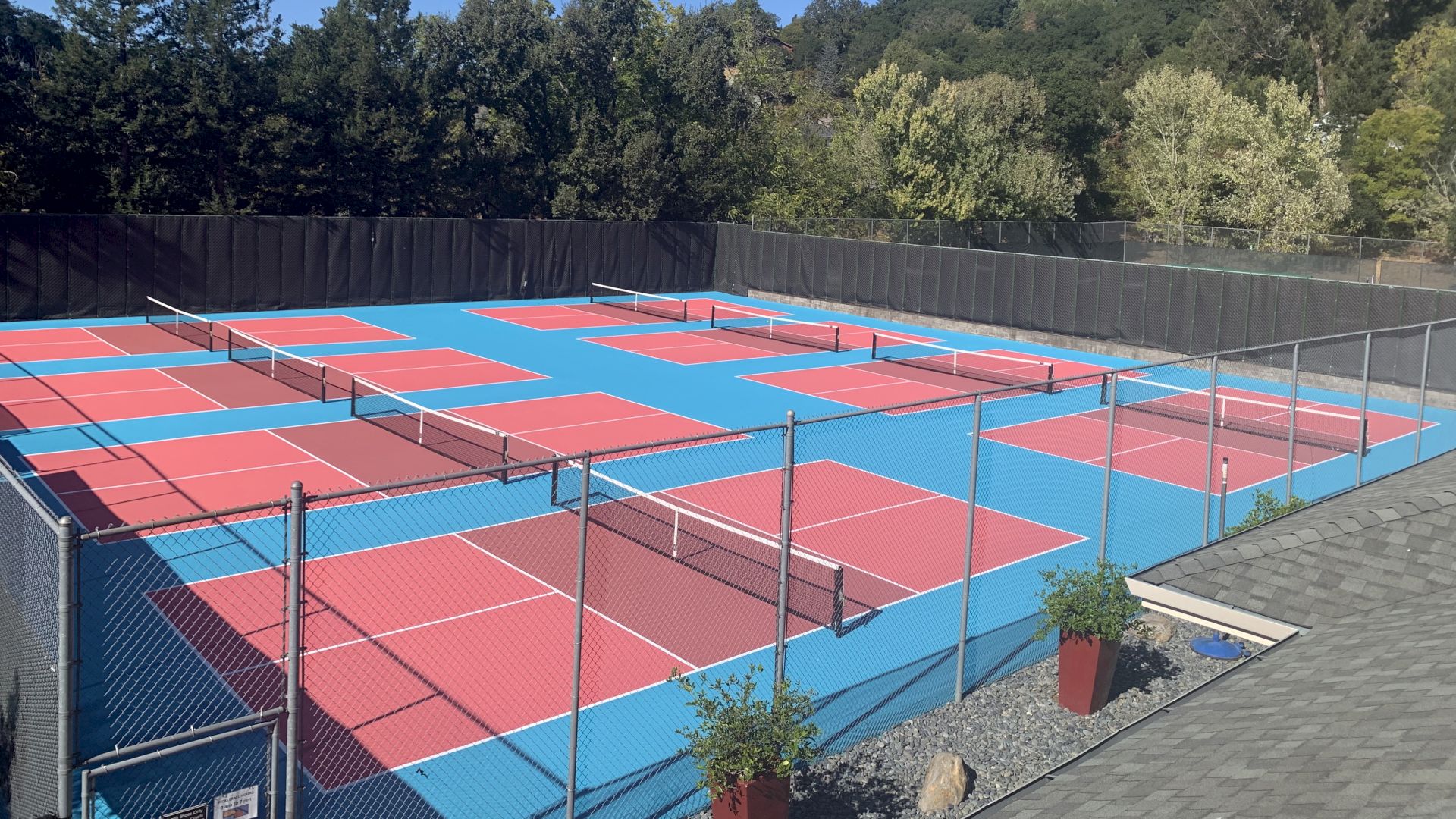 A fenced outdoor sports court complex with red-and-blue pickleball/tennis courts and lush green trees under a clear blue sky.
